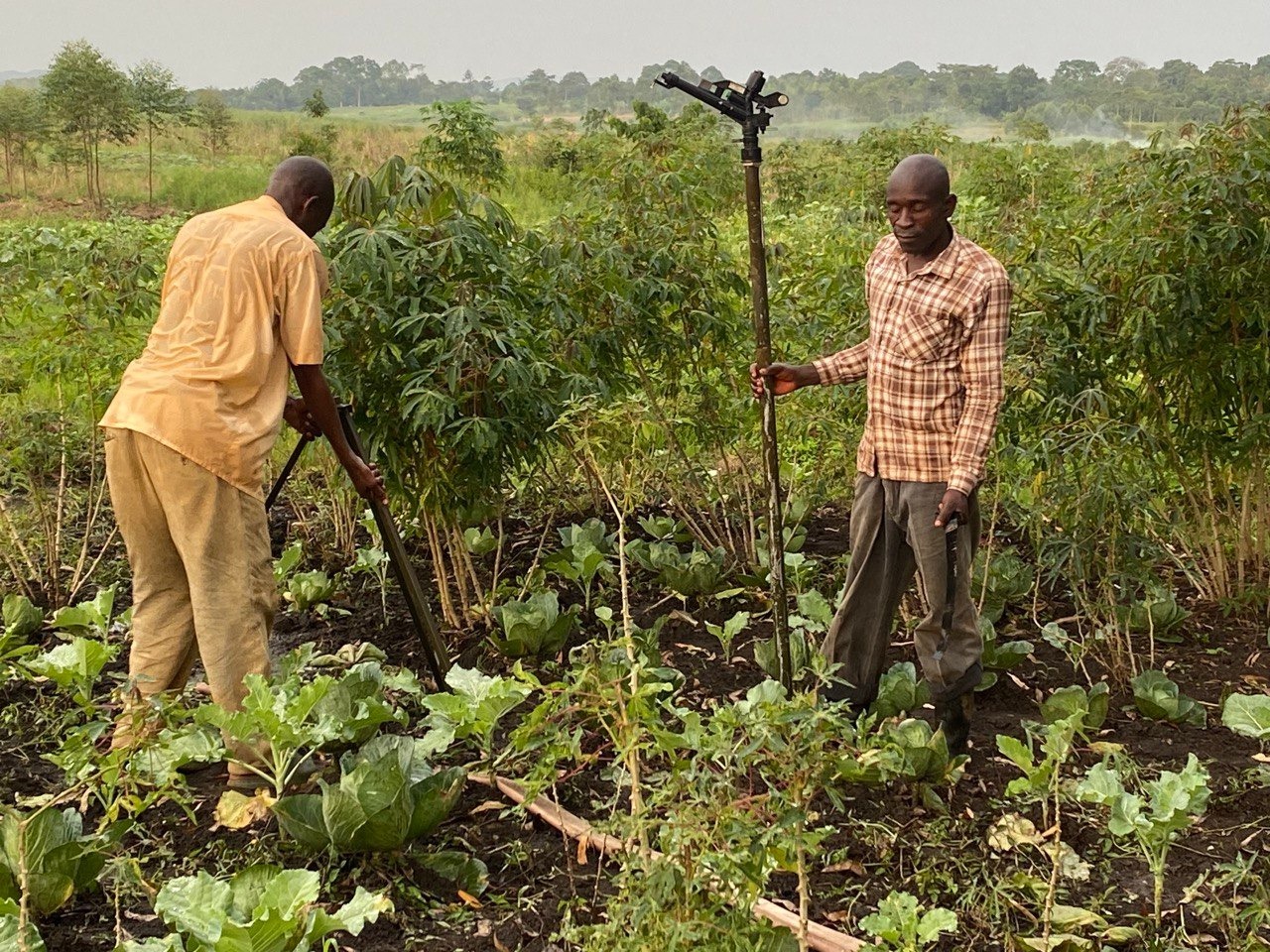 Agroforestry & Livelihoods Internship