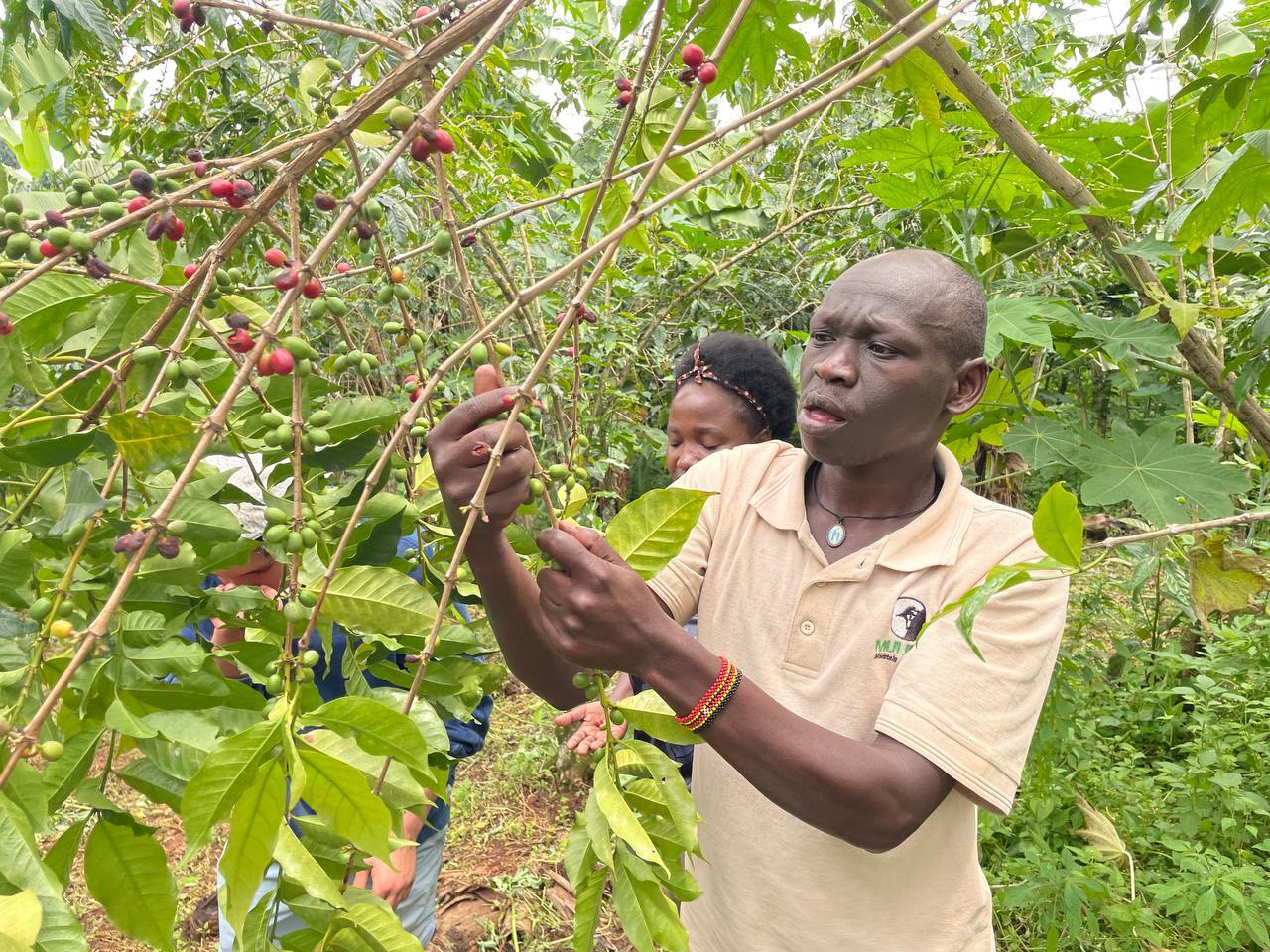 Food Security and Nutrition